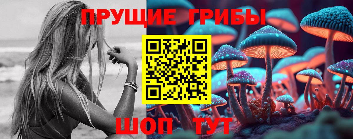 наркотики  Галлюциногенные грибы MAGIC MUSHROOMS  Вход с VPN  Геленджик  Псилоцибиновые грибы мицелий 